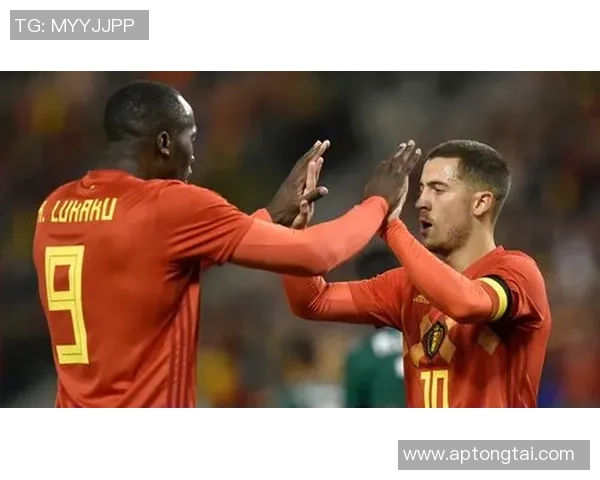 日本与比利时精彩对决录像回放分析与精彩瞬间集锦