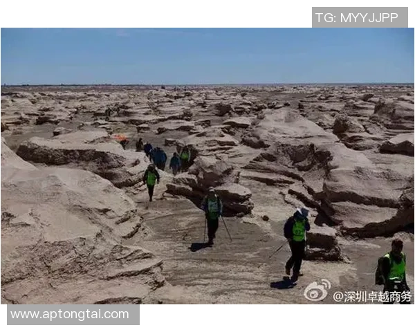 王岚：从平凡到卓越的奋斗之路与人生感悟分享