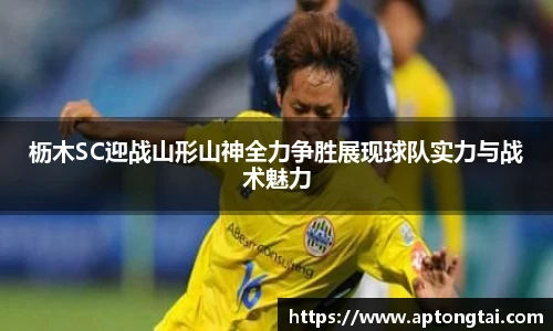 金沙集团1862cc成色官网
